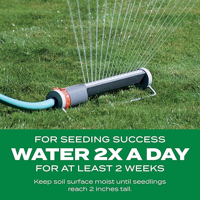 Scotts Turf Builder Thick'R Lawn Southern Gold Blend for Tall Fescue Lawns, Grass Seed, Fertilizer, and Soil Improver, 12 lb.