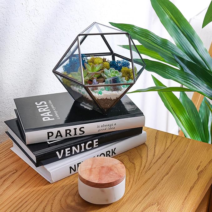 DIY 7" Geometric Terrarium Kit with Live Plants - Build Your Own Glass Terrarium for Adults & Kids with Moss, Crystals, Tools & Decor - Mini Ecosystem - Handcrafted in The USA