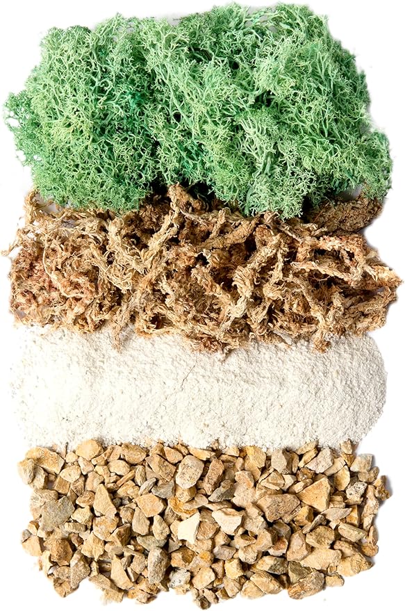 SuperMoss (90410) Terrarium Jar DIY Kit – Build Your Own Mini Garden in a Jar, Idea for Budding Gardeners, Creative Kids & Plant Lovers of All Ages, 32oz, Laguna