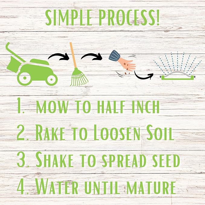 Flawn Seed Kits 5 Lbs Micro Clover Seed, Organic Coated, Eco-Friendly, Low Growing, Low Maintenance, Lawn Alternative, Kraft Zipper Pouch, Covers up to 18,000 Sqft