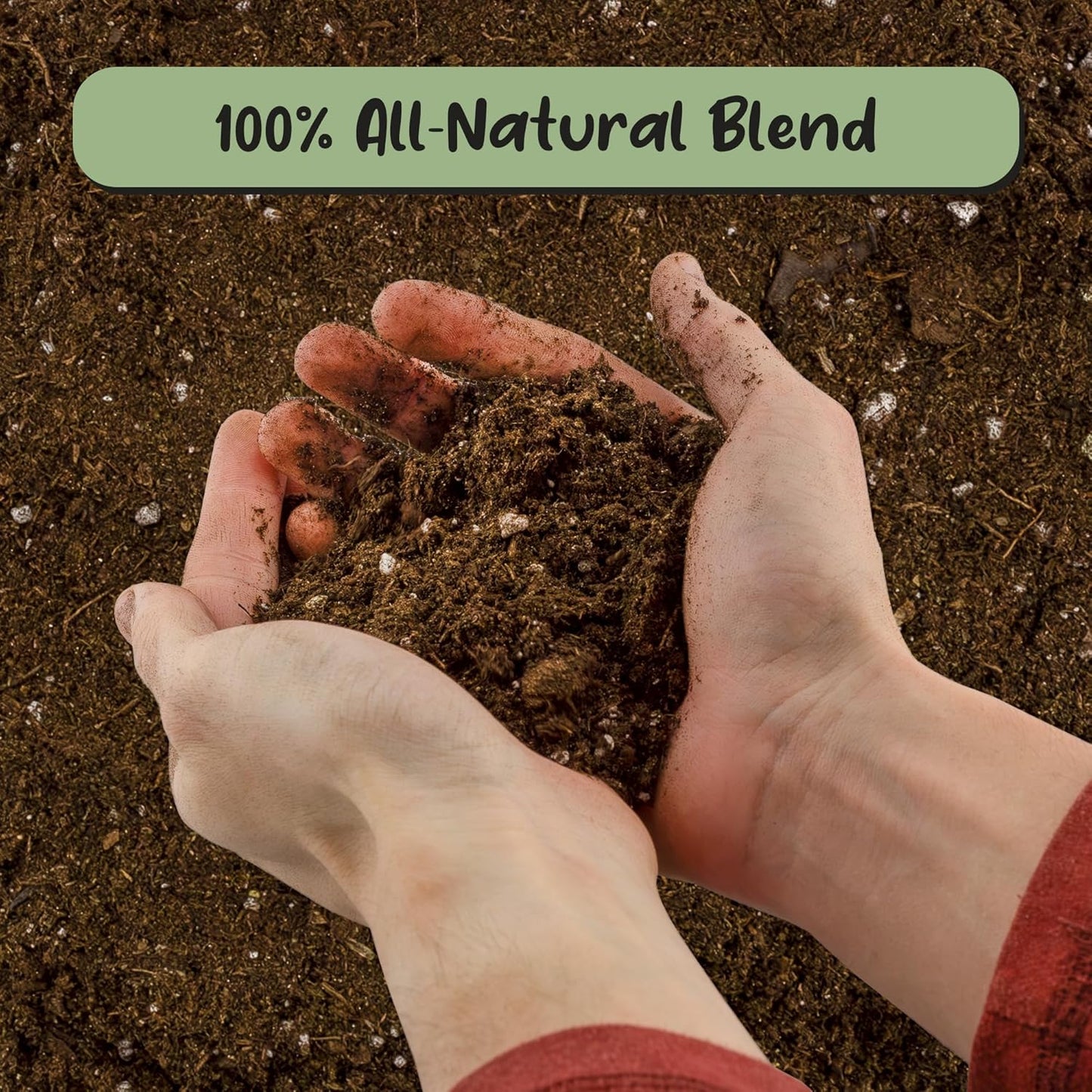 Peace Lily Potting Soil Mix (12 Quarts), for Planting, Growing, or Repotting Peace Lily Plants