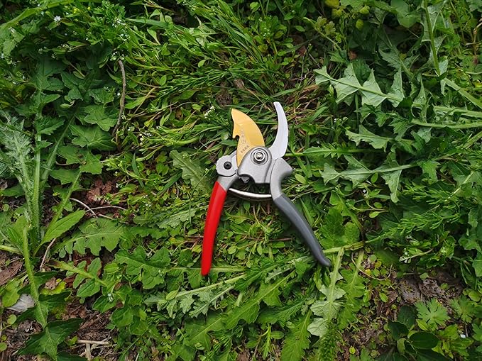 Garden Tools Set, 5 Piece Aluminum Hand Tool Kit with Ergonomic Handle, Heavy Duty Gardening Tools Include Hand Trowel, Transplant Trowel, Hand Rake, Weeder and Shears (Orange)