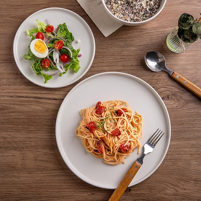 AmorArc Stoneware Dinner Plates Set of 4, 10.5 Inch Reactive Matte Glaze Ceramic Plates Set, Modern Dinnerware Dish set for Kitchen, Microwave, Dishwasher Safe, Scratch Resistant - Matte White