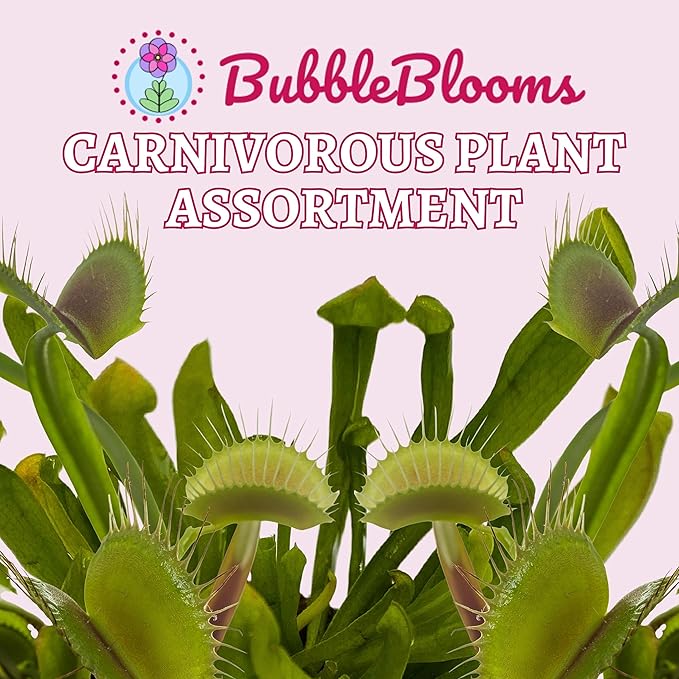 BubbleBlooms Carnivorous Plant Assortment Set, 5 Live Different Plants in 2 inch Pots