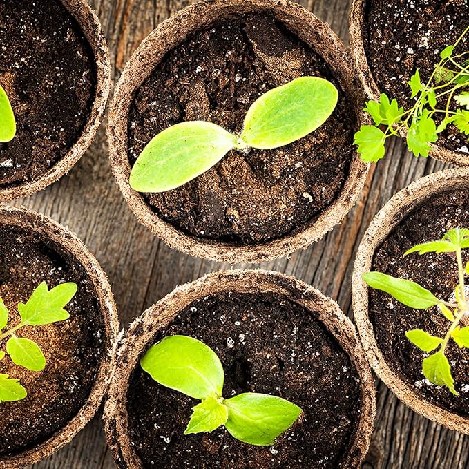 Biodegradable Peat Pots for seedlings, 100 Pack Plant Seed Starter Pots Kit, 2.36inch Succulent Planter Nursery Pots with 10 Plant Markers, Garden Germination Kits