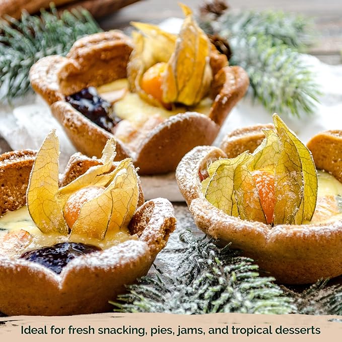 KVITER 650 Aunt Molly Ground Cherry Seeds for Planting (Physalis pruinosa) – Non GMO & Heirloom Pineapple Ground Husk Cherry Tomatoes, Organic Fruit Seeds – Tropical Flavor Berries