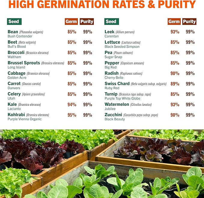 Open Seed Vault 15,000 Heirloom Plant Seeds for Gardening Vegetables and Fruits - Survival Seeds Kit with 30 Varieties - Organic, Non-GMO Survival Seed Pack for Home Gardening and Emergency Supplies