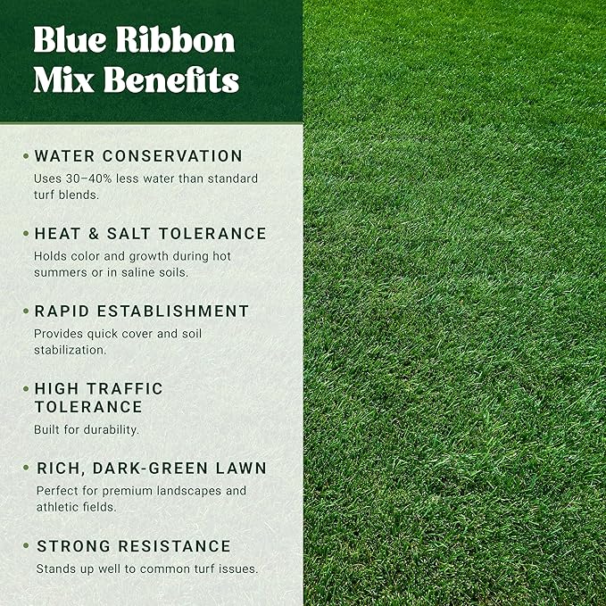 Nature’s Seed TWCA Water-Wise Blue Ribbon Mix, Kentucky Bluegrass and Perennial Ryegrass Grass Seed Blend, High-Traffic, Shade Tolerant, for Garden, Lawn, Yard, 5 lbs