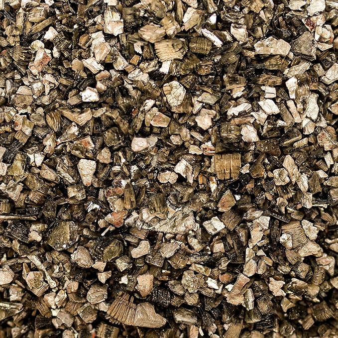 Premium Zamioculcas Plant Potting Mix - Crafted for Resilient Growth and Striking Elegance - 1 Quart